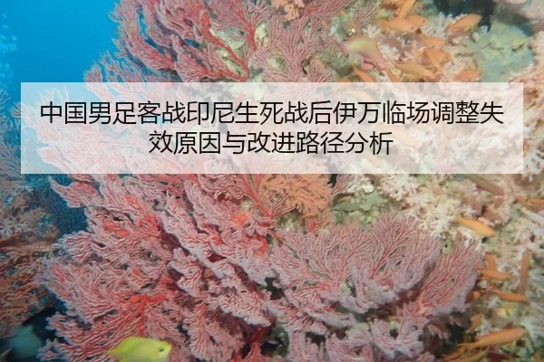 zhong-guo-nan-zu-ke-zhan-yin-ni-sheng-si-zhan-hou-yi-wan-lin-chang-tiao-zheng-shi-xiao-yuan-yin-yu-gai-jin-lu-jing-fen-2-828.jpg